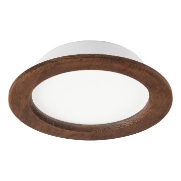 LED Iebūvējamais gaismeklis WOODY SPOT LED/16,5W/230V 4000K ķirša ? 18,5 cm