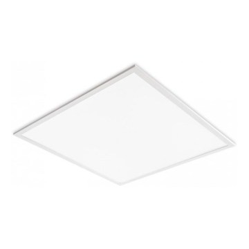 LED iebūvējamais panelis DAVRO LED/40W/230V 4000K 62x62 cm balts