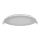 LED Iegremdējama lampa MARS LED/12W/230V