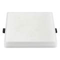 LED Iegremdējama lampa SAMSUNG CHIP LED/20W/230V 4000K