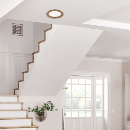 LED Iegremdējama lampa WOODY SPOT LED/16,5W/230V 4000K rieksts ø 18,5 cm