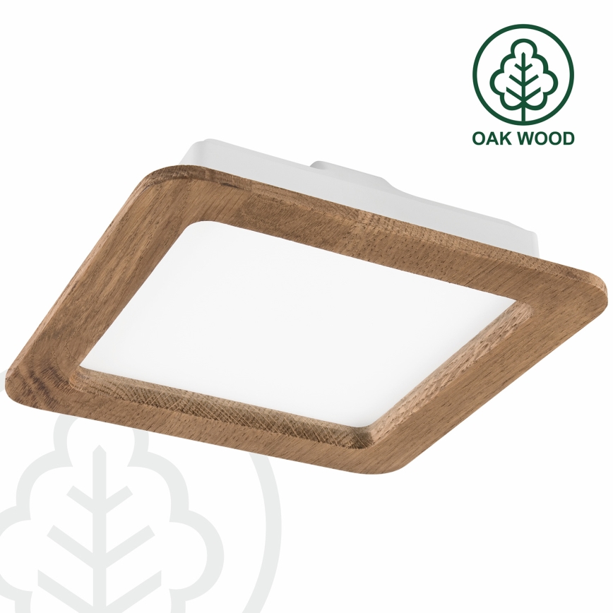 LED Iegremdējama lampa WOODY SPOT LED/17W/230V 3000K rieksts 18,5x18,5 cm
