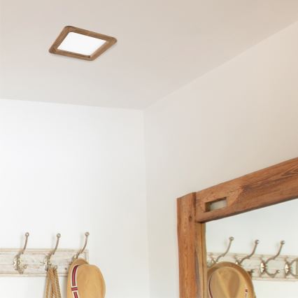 LED Iegremdējama lampa WOODY SPOT LED/17W/230V 3000K rieksts 18,5x18,5 cm