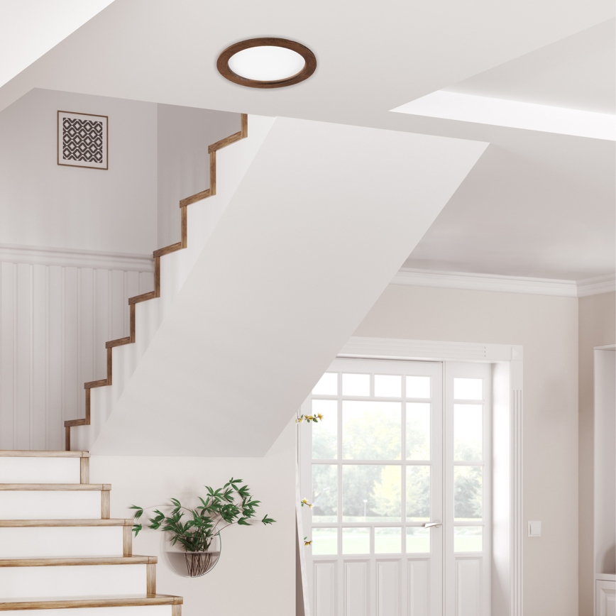LED Iegremdējama lampa WOODY SPOT LED/23,5W/230V 4000K ķirsis ø 23,5 cm