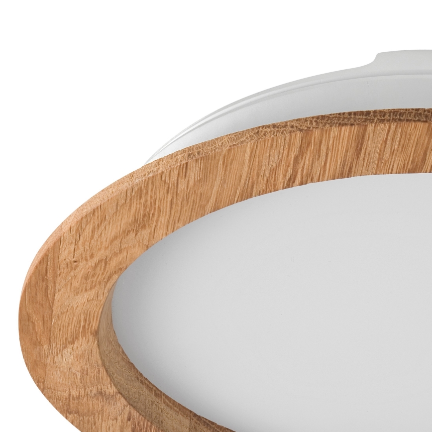 LED Iegremdējama lampa WOODY SPOT LED/23,5W/230V 4000K ozols ø 23,5 cm