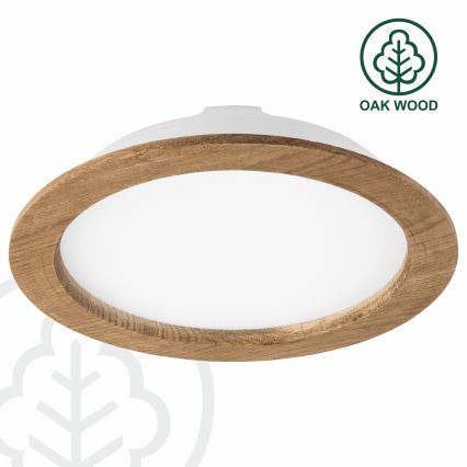 LED Iegremdējama lampa WOODY SPOT LED/23,5W/230V 4000K rieksts ø 23,5 cm