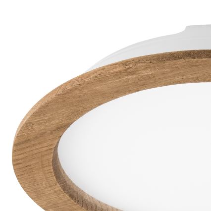 LED Iegremdējama lampa WOODY SPOT LED/23,5W/230V 4000K rieksts ø 23,5 cm
