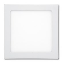 LED Iegremdējama vannas istabas lampa RAFA LED/25W/230V 2700K IP44
