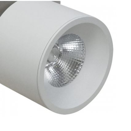 LED Iegremdējams starmetis HARON 1xLED/10W/230V balta