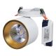 LED Iegremdējams starmetis HARON LED/20W/230V balta