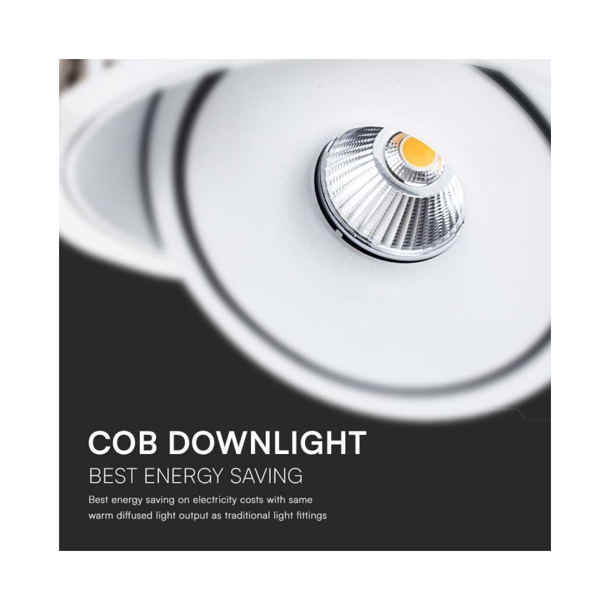 LED Iegremdējams starmetis LED/20W/230V 3000/4000/6400K d. 16,5 cm balta