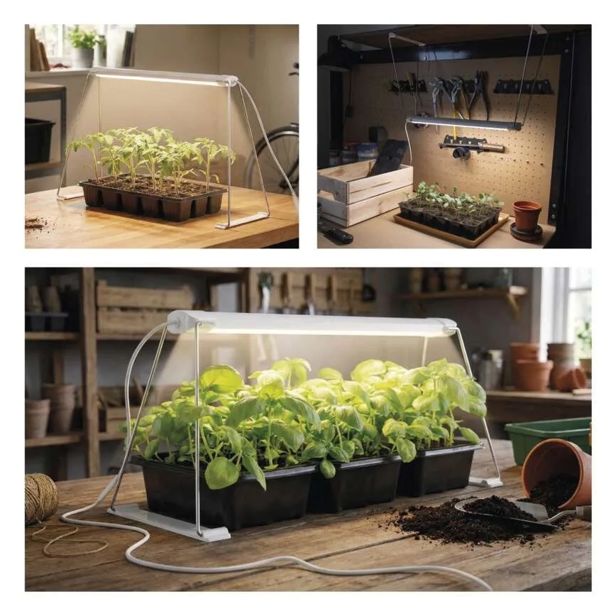 LED iekštelpu augu audzēšanas lampa GROW LED/15W/230V