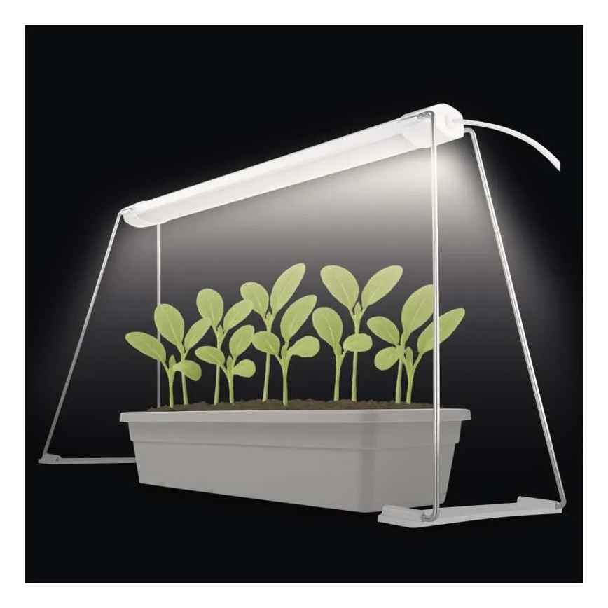 LED iekštelpu augu audzēšanas lampa GROW LED/15W/230V