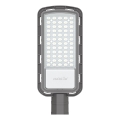 LED Ielas lampa LED/50W/230V 6500K IP65 pelēka