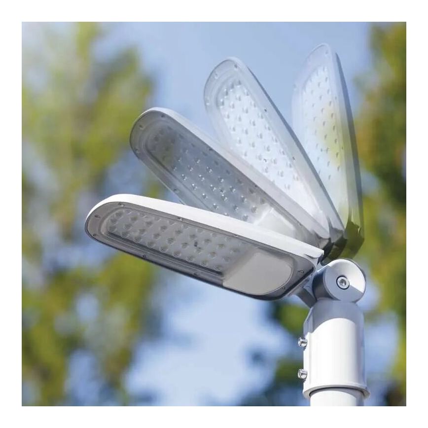 LED Ielas lampa SOLIS LED/50W/230V 4000K IP65