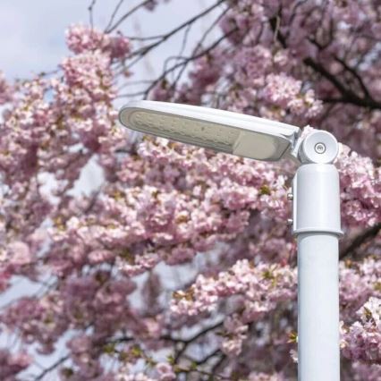 LED Ielas lampa SOLIS LED/50W/230V 4000K IP65