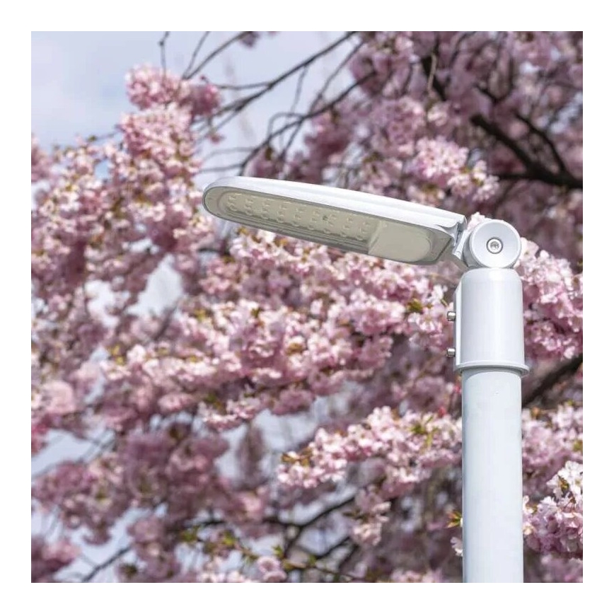 LED Ielas lampa SOLIS LED/50W/230V 4000K IP65