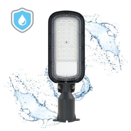 LED ielu lampa BRELUXO LED/50W/230V 4000K IP65
