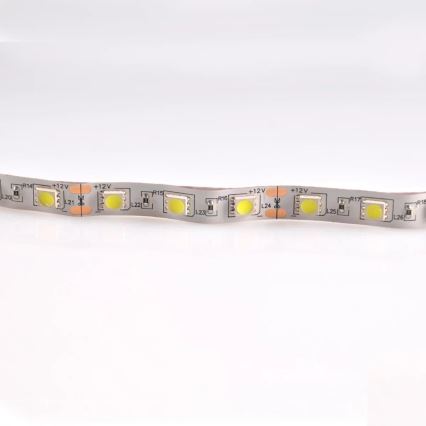 LED Josla 5m 28W/12V IP20 6500K