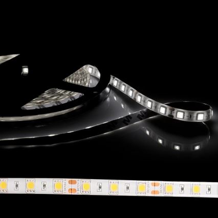 LED josla 5m 28W/12V IP65 6500K