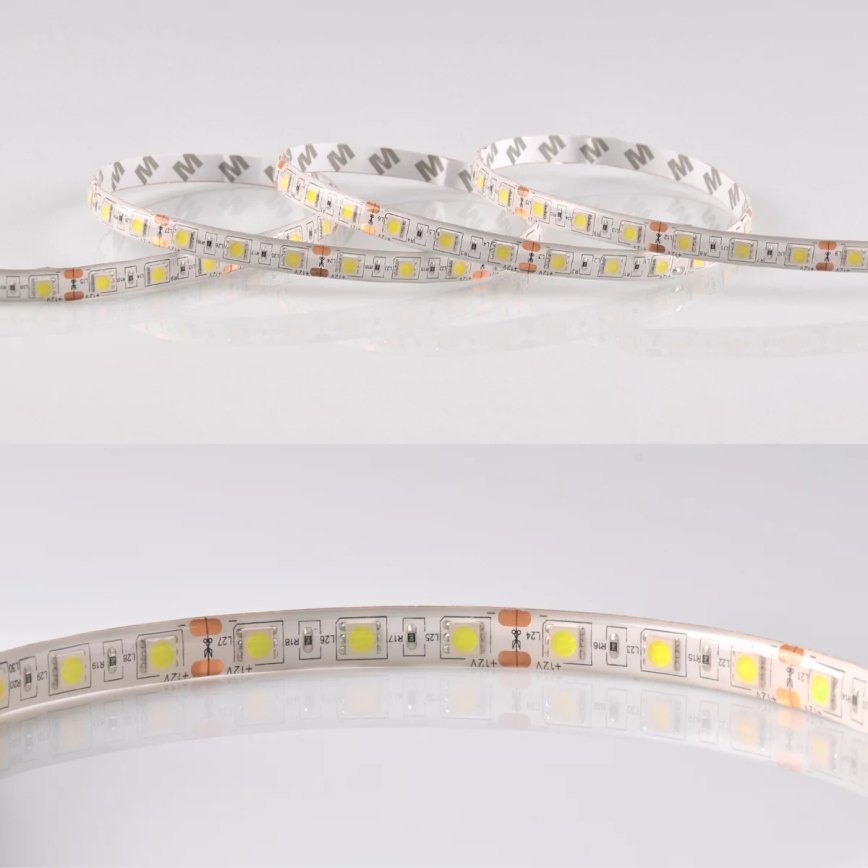 LED josla 5m 28W/12V IP65 6500K