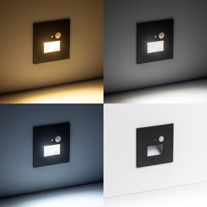 LED Kāpņu telpas lampa ar kustību sensoru LED/1,5W/230V 3000K/4000K/6500K