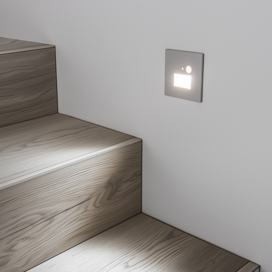 LED Kāpņu telpas lampa ar kustību sensoru LED/1,5W/230V 3000K/4000K/6500K
