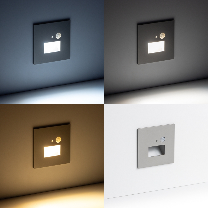 LED Kāpņu telpas lampa ar kustību sensoru LED/1,5W/230V 3000K/4000K/6500K