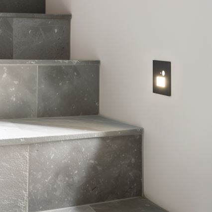 LED Kāpņu telpas lampa ar kustību sensoru LED/1,5W/230V 3000K/4000K/6500K