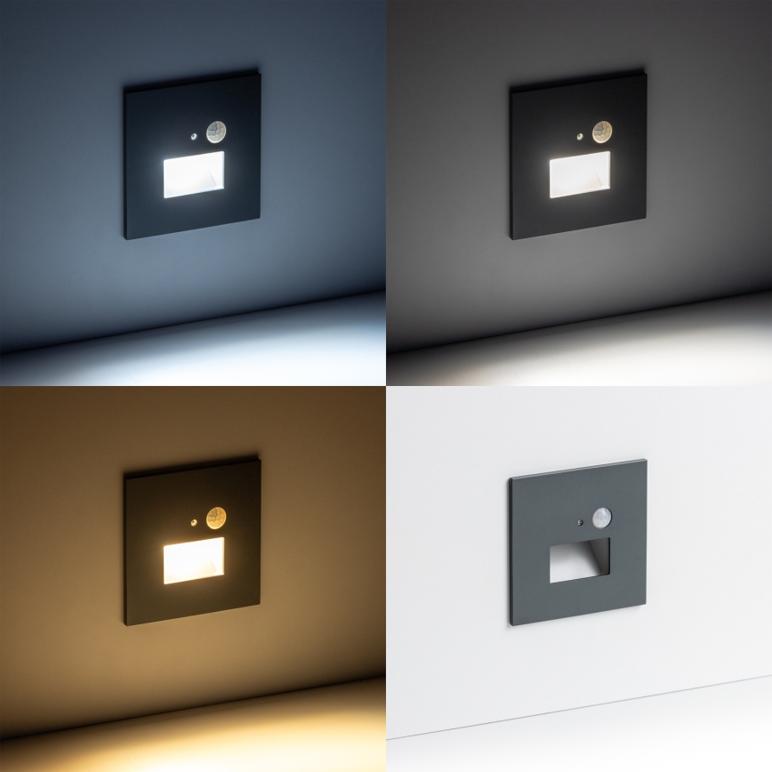 LED Kāpņu telpas lampa ar kustību sensoru LED/1,5W/230V 3000K/4000K/6500K