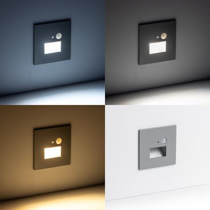 LED Kāpņu telpas lampa ar kustību sensoru LED/1,5W/230V 3000K/4000K/6500K
