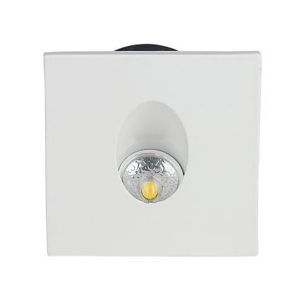 LED Kāpņu telpas lampa LED/3W/230V 3000K balta