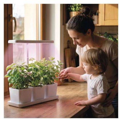 LED lampa iekštelpām ar regulējamu spilgtumu augu audzēšanai GROW LED/7W/5V