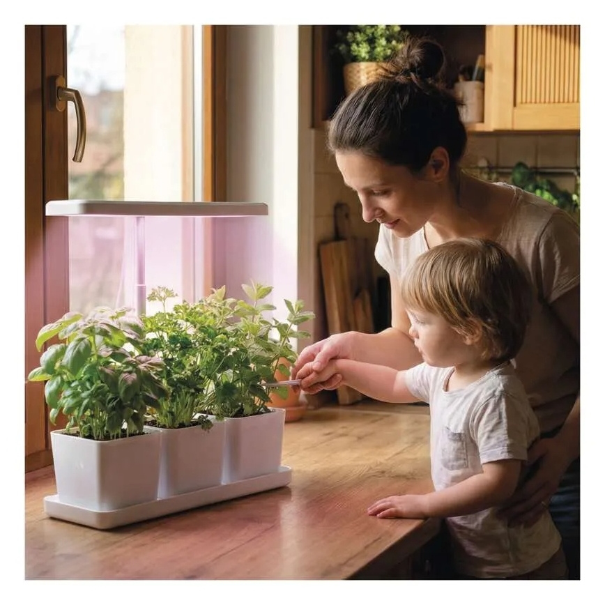 LED lampa iekštelpām ar regulējamu spilgtumu augu audzēšanai GROW LED/7W/5V