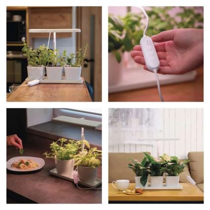 LED lampa iekštelpām ar regulējamu spilgtumu augu audzēšanai GROW LED/7W/5V