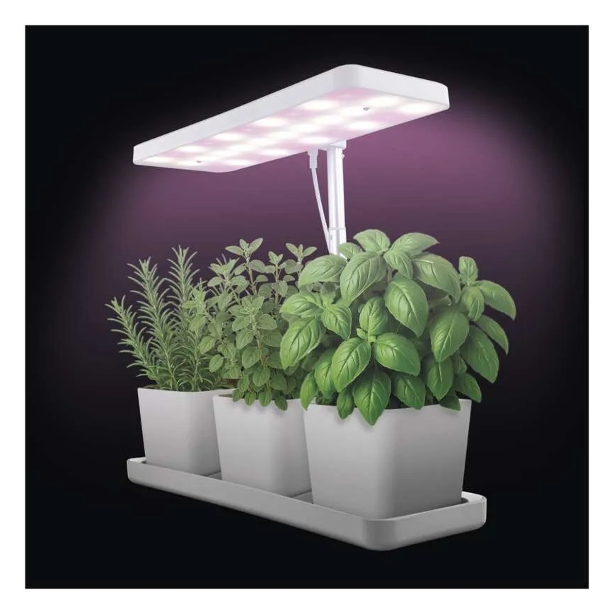 LED lampa iekštelpām ar regulējamu spilgtumu augu audzēšanai GROW LED/7W/5V