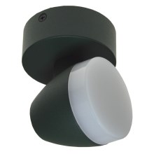 LED lampa SURMUR LED/6W/230V zaļš