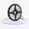 LED lente LED/50W/12V 5m auksti balta