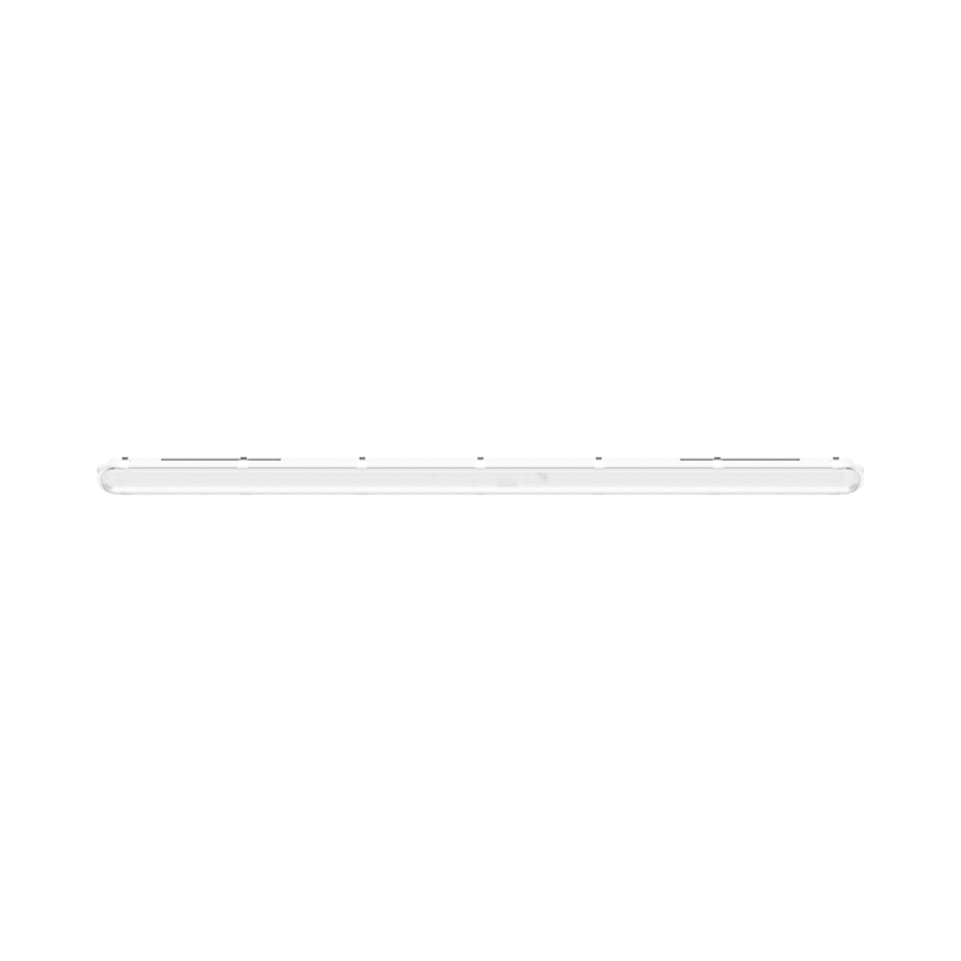 LED Lielas slodzes dienasgaismas lampa LIMEA GIGANT PRO LED/40/54/68/85W/230V 4000K IK10 IP66 150 cm