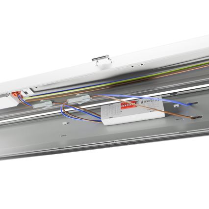LED Lielas slodzes dienasgaismas lampa LIMEA GIGANT PRO LED/40/54/68/85W/230V 4000K IK10 IP66 150 cm
