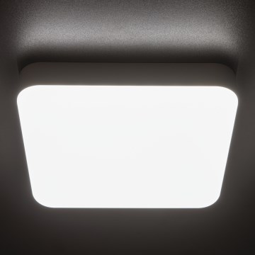 LED Lielas slodzes griestu lampa ar kustību sensoru IPER LED/35W/230V IK10 IP65 leņķa balta