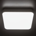 LED Lielas slodzes griestu lampa IPER LED/10W/230V IK10 IP65 leņķa balta