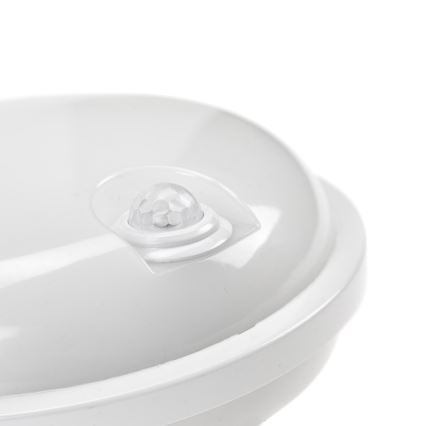 LED Lielas slodzes lampa ar PIR sensoru LED/20W/230V IP54