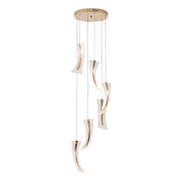 LED Lustra ar auklu 6xLED/10W/230V 3000K