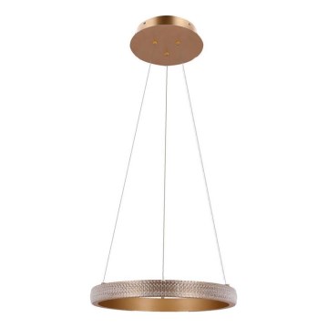 LED Lustra ar auklu HASHIM LED/22W/230V d. 40 cm varš
