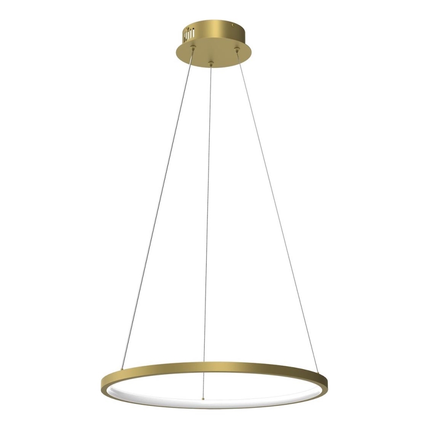 LED Lustra ar auklu HOOP LED/27W/230V d. 50 cm 4000K zelta