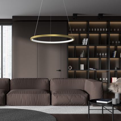 LED Lustra ar auklu HOOP LED/27W/230V d. 50 cm 4000K zelta
