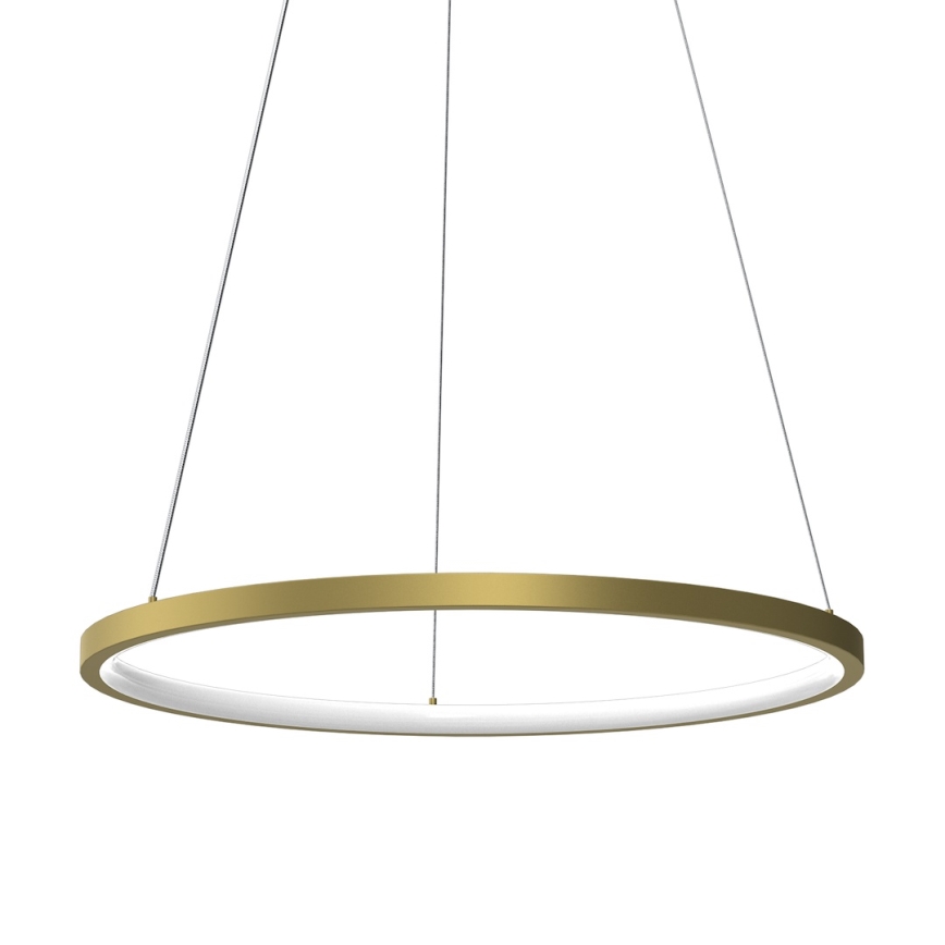 LED Lustra ar auklu HOOP LED/27W/230V d. 50 cm 4000K zelta