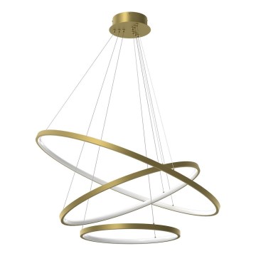 LED Lustra ar auklu HOOP LED/93W/230V d. 80 cm 4000K zelta