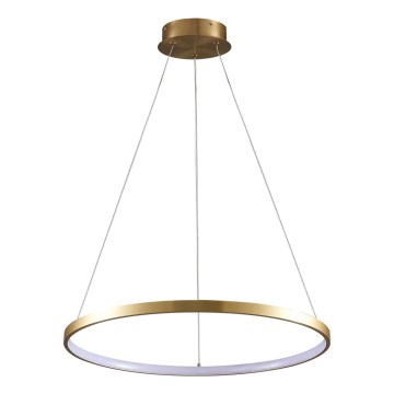 LED Lustra ar auklu LEA LED/20W/230V 4000K d. 50 cm zelta